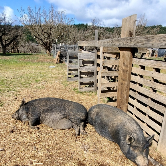 🚃Railway Wall Hanging, Rectangular 20" Tall - Picture 8 of 8